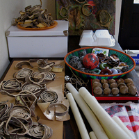 Studio Shot 13
